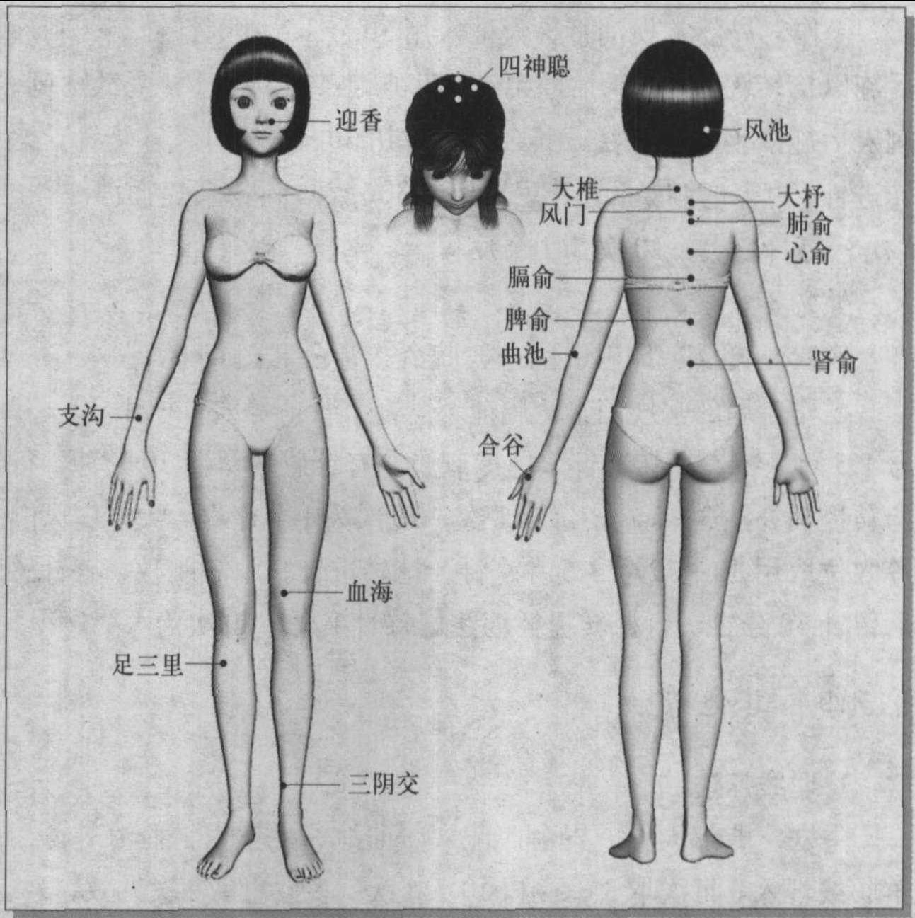 第三節(jié) 銀屑病